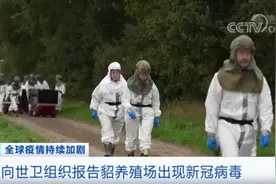 1600万只貂已被宰杀！占全球四成市场，丹麦水貂皮产业或遭灭顶之灾图片