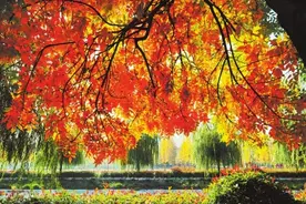 诗情画意醉美商丘图片