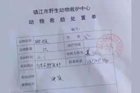 入户捣乱、拦路抢食，“泼猴”把村子当成“花果山”，被抓后发现它来头不小图片