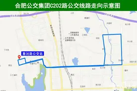 11月12日起，合肥新开C202路、C207路公交线路图片