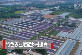 特色农业赋能乡村振兴视频封面