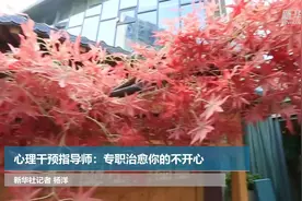 心理规划指导师：专职治愈你的不开心视频封面