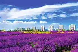 “三连冠”！金昌蝉联全国文明城市图片