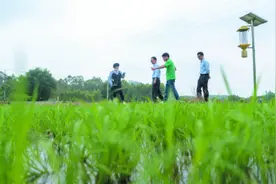 农行惠州分行洒金融雨露“贷”动乡村振兴图片