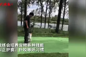 《女儿们的恋爱》同款宠物学校南京也有，初级班4000元一个月，还要自带狗粮图片