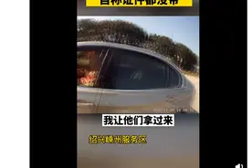 16岁小伙开宝马上高速 称自己之前在游戏里开过车图片