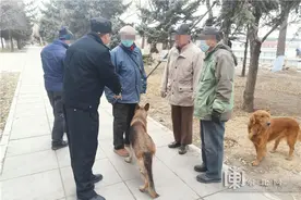 哈市警方整治违规养犬 不拴绳遛犬扣满3分吊销犬证图片