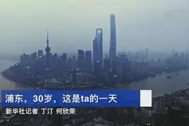 潮涌东方再扬帆——以习近平同志为核心的党中央关心浦东开发开放纪实图片