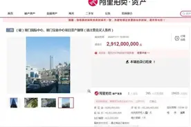 双十一“最贵订单”！福建第一高楼29.12亿网拍成交图片