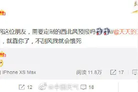 双十一快把这份西北风预报转给你即将靠西北风度日的朋友图片