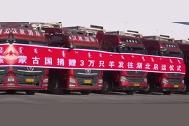蒙古国赠羊首批1.2万只加工后运往武汉，预计11月15日抵达图片