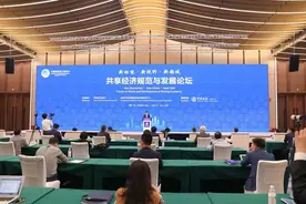 后疫情时代共享经济怎么玩？民宿老板职业化，农村土地可“托管”图片