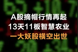 A股摘帽行情再起 13天11板智慧农业 一大妖股横空出世视频封面