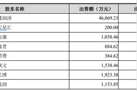 财说｜这家IDC公司死磕创业板借壳普丽盛，平安系等机构突击入股图片