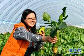 山东寒亭：小萝卜唱出致富经图片