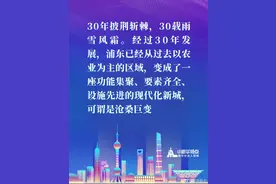 中国经济是一片大海，世界经济也是一片大海：来看习近平总书记在浦东开发开放30周年庆祝大会上讲话金句图片