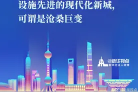 中国经济是一片大海，世界经济也是一片大海：来看习近平总书记在浦东开发开放30周年庆祝大会上讲话金句图片