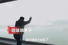 迷惑！网红狂砸41楼落地窗，网友炸锅……图片