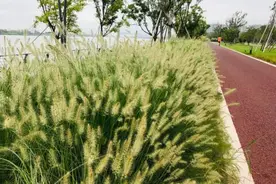宁波4条绿道，浙江最美！你去过吗？图片