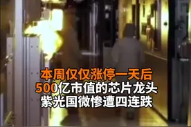 中国财富报道|500亿芯片股突遭利空，公司债被降级，早盘触及跌停！视频封面