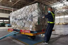 壮观！双十一世界各地人民买买买的浙江货都在这里上飞机！机场搬运工：一上午搬货千件图片