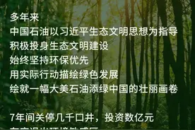 封井几千口，耗费数亿元，中石油为了啥？图片