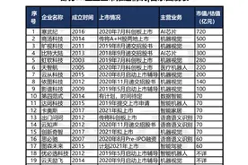 20家AI公司的上市盛宴！有人临门翻车，大都如临大考图片