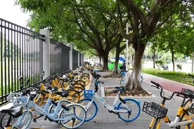 番禺明确共享单车运营商：除广州大学城外，均是青桔图片