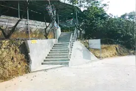 林业执法陷困境，环境公益诉讼巧帮忙图片