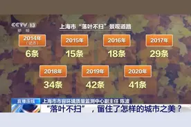 从垃圾变美景“落叶不扫”留住了怎样的城市之美？图片