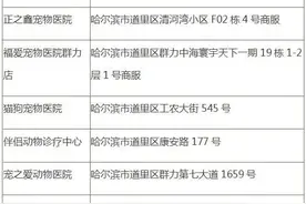 哈尔滨市城区内禁养这39种烈性犬，办犬证看这里图片