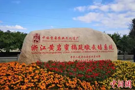 中国农科院柑桔研究所：中国是世界蜜橘的起源地图片