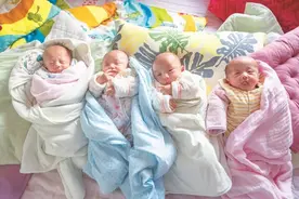 罕见！女子自然受孕诞下两龙两凤四胞胎图片