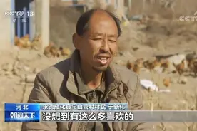 一开口就是播音腔 守山大叔朗诵《再别康桥》受关注图片