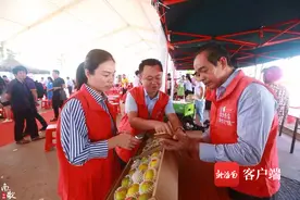 白沙红心橙发出“甜蜜”邀约！11月17日来这场推介会品尝“海南最甜的橙”图片