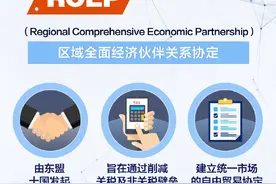 转存！一组图了解RCEP是什么图片