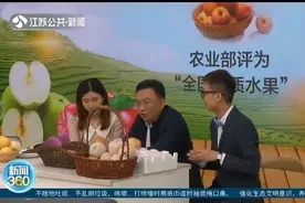 真特产！红富士、小芋头、白酥梨，徐州丰县当季农产品“真香”视频封面