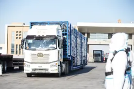 蒙古国千里送羊记：养到膘肥体壮，加工成冻羊肉直送武汉图片