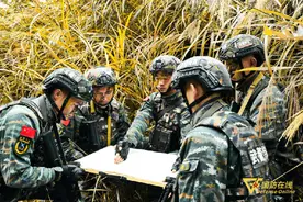 闻令而动！山林地捕歼战斗，特战队员上演密林追击图片