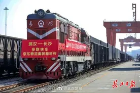 双十一没买够集装箱来补货，武汉至长沙首发货运电商专列图片