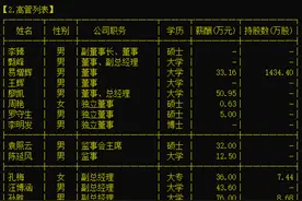 新一轮董事席位争夺一触即发，皖通科技成各方资本“玩物”？图片