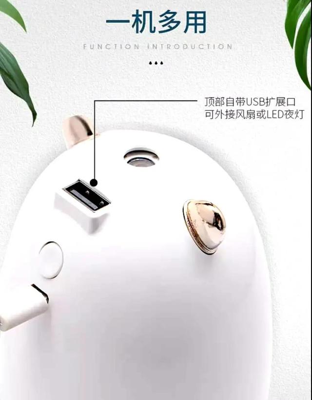 深海鳕鱼皮的功效与作用 2026年深海鳕鱼皮的功效与作用图片