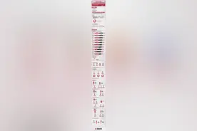 谁是体能测试成绩最好的球员？一张图告诉你CBA新变化图片