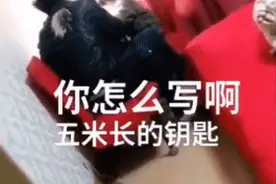 辅导作业太生气，深圳父亲打儿子一耳光！结果出事了……网友：忍住图片