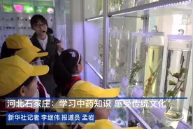 河北石家庄：学习中药知识 感受传统文化视频封面