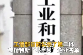 中国财富报道｜翻倍潜力股隐藏其中！这些公司进入“小巨人”名单视频封面