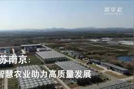 江苏南京：智慧农业助力高质量发展视频封面