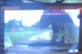 熊出没！海口一市民动物园猛兽区停留，一只大黑熊突然爬上引擎盖…图片