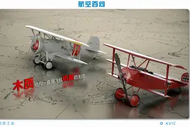 航空百问：机翼何其妙哉 竟乘风而起图片