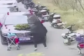 河北一女子抑郁症发作，推婴儿车拦婚车，徒手掰断奔驰车标并扔掉图片